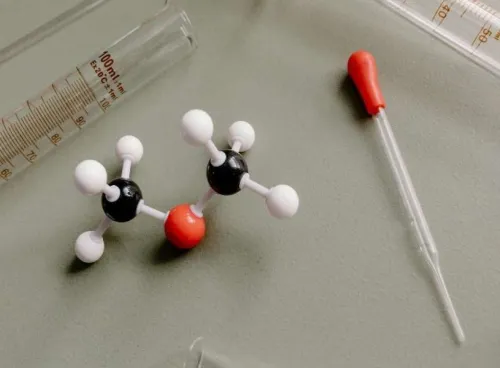 Métabolisme énergétique — les nutriments en action